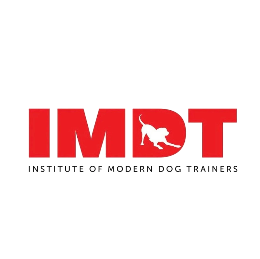 IMDT