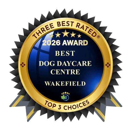 Best Three Rated 2025
