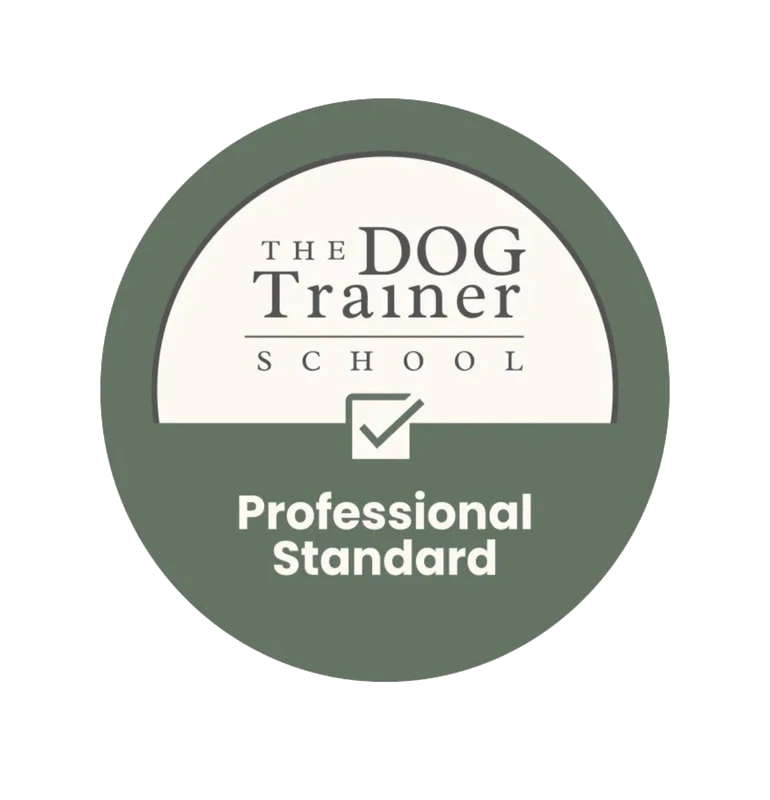 Dog Trainer School