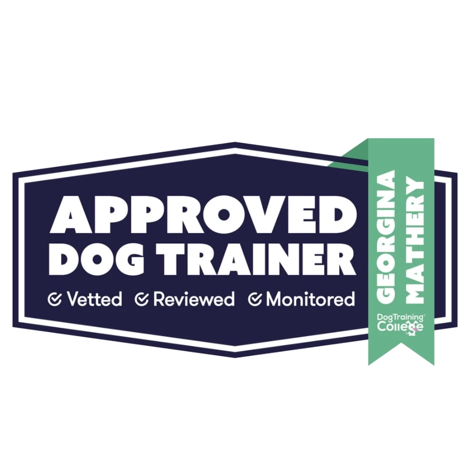 Dog Training College