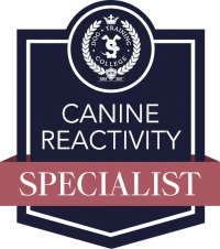 Dog Training College