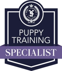 Dog Training College