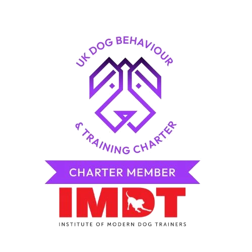 IMDT Charter Logo